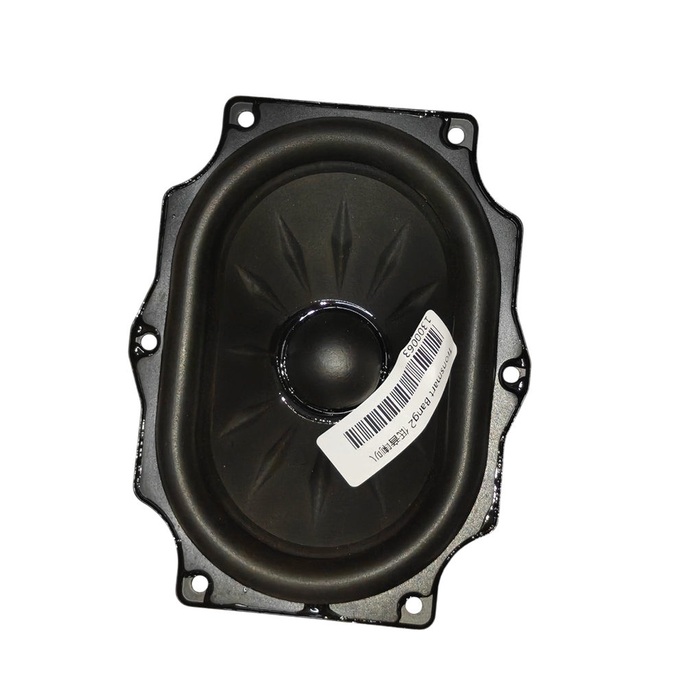Tronsmart Bang 2 Repuesto-Woofer